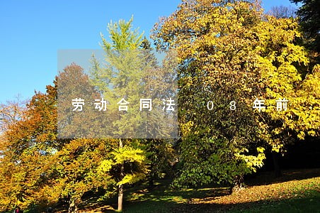 劳动合同法 08年前 劳动合同法 08年前